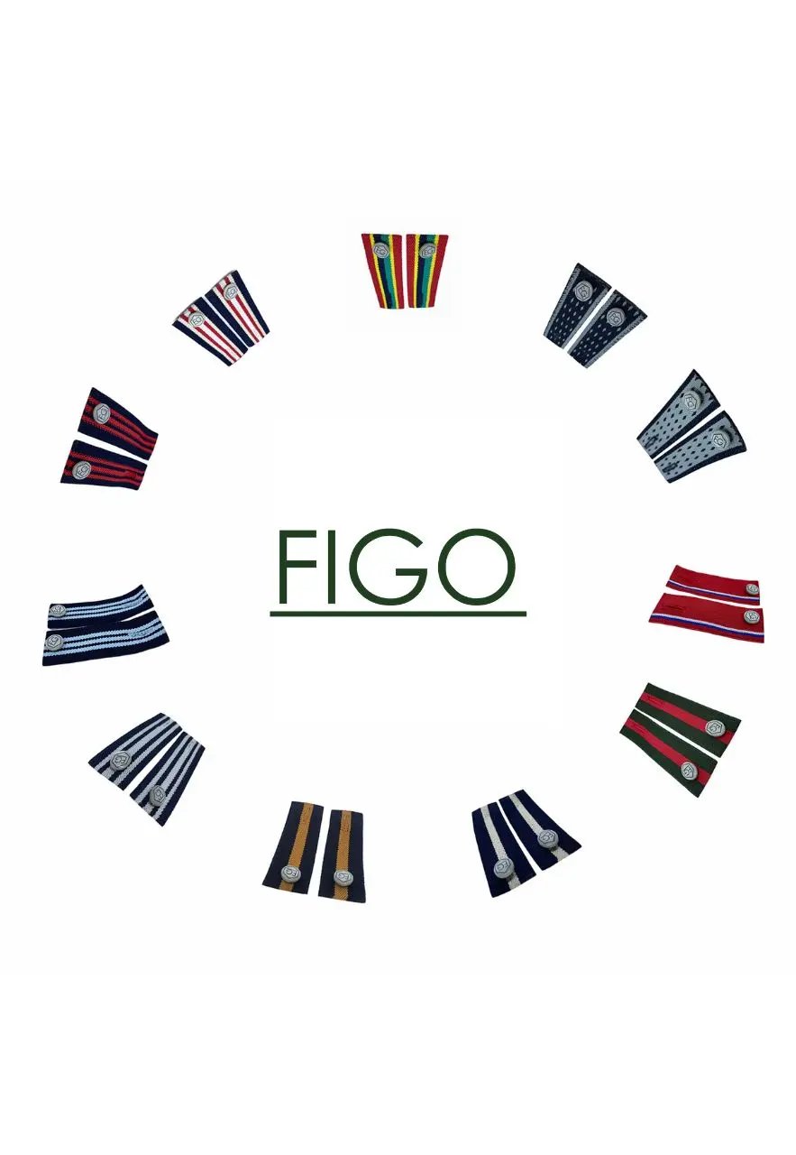 ¡La tua Collezione! - 15 Figos - Figo